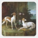 Zoek naar windhonden stickers Huisdier