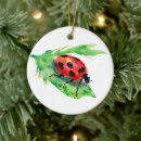Zoek naar leef ornamenten Groen