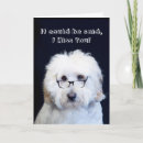 Zoek naar zwarte hond kaarten Humor