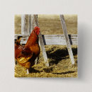 Zoek naar boerderij dieren buttons Rood