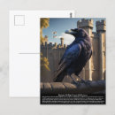 Zoek naar raven briefkaarten Vogel