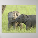 Zoek naar jongere posters Vriend