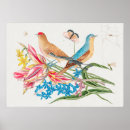 Zoek naar duiven kunst Vogel