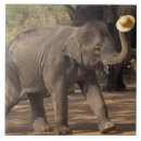 Zoek naar thailand tegels Azië