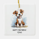 Zoek naar bull terrier ornamenten Pitbull