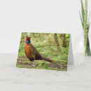 Zoek naar fazant kaarten Wild