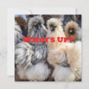 Zoek naar grappige kip kaarten Griet