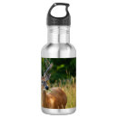Zoek naar hert waterflessen Wild