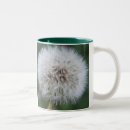 Zoek naar dandelion mokken Foto