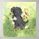Zoek naar labradoodle posters Honden