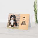 Zoek naar grappige buren kaarten Elk persoon