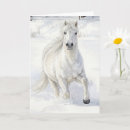 Zoek naar ijsland kaarten Pony