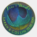 Zoek naar pauw huwelijk stickers Veer