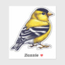 Zoek naar goudvink stickers Vogels