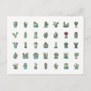 Zoek naar cactus briefkaarten Succulenten