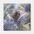Zoek naar distel magneten Bij
