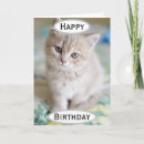 Zoek naar cat dad kaarten Foto