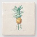 Zoek naar redoute onderzetters Botanisch