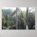Zoek naar jungle kunst Voor hem
