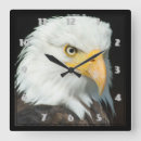 Zoek naar eagle klokken Adelaar