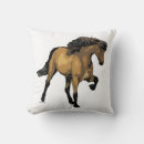 Zoek naar ijsland kussens Pony