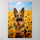 Zoek naar herdershond posters Duitse herder