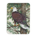 Zoek naar eagle magneten Boom