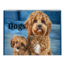 Zoek naar pop kalenders Hond