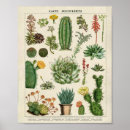 Zoek naar zuidwestelijk posters Voor kinderen