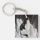 Zoek naar zwart witte kat sleutelhangers Katje