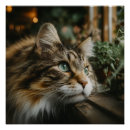 Zoek naar langharige kat kunst Elk persoon