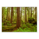 Zoek naar ceder kaarten Voor iedereen