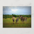 Zoek naar wildlife posters briefkaarten Natuur
