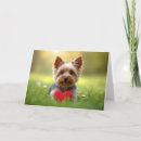 Zoek naar snoep harten kaarten Valentijnsdag