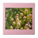 Zoek naar logo tegels Foto