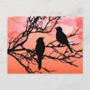 Zoek naar zwarte vogel briefkaarten Oranje
