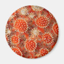 Zoek naar macro magneten Fotografie