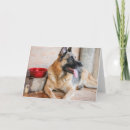 Zoek naar hijgen kaarten Puppy