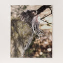Zoek naar monkey puzzels Schattig