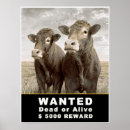 Zoek naar wanted posters Humor