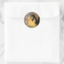 Zoek naar eekhoorns stickers Elk persoon