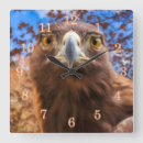 Zoek naar golden eagle kunst Roofvogel