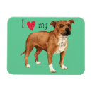 Zoek naar staffordshire bull terrier magneten Voor iedereen