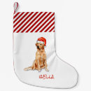 Zoek naar santa kerstsokken Honden