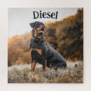 Zoek naar rottweiler puzzels Ras