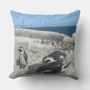Zoek naar pinguin kussens Elk persoon
