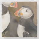 Zoek naar ijsland onderzetters Puffin