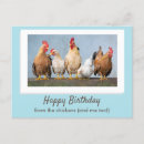Zoek naar kippen gelukkige verjaardag Elk persoon