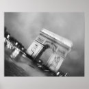 Zoek naar spinnen posters Stad