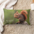Zoek naar eekhoorns kussens Elk persoon